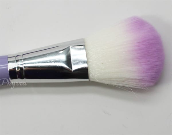 Crown Brush Pro Powder