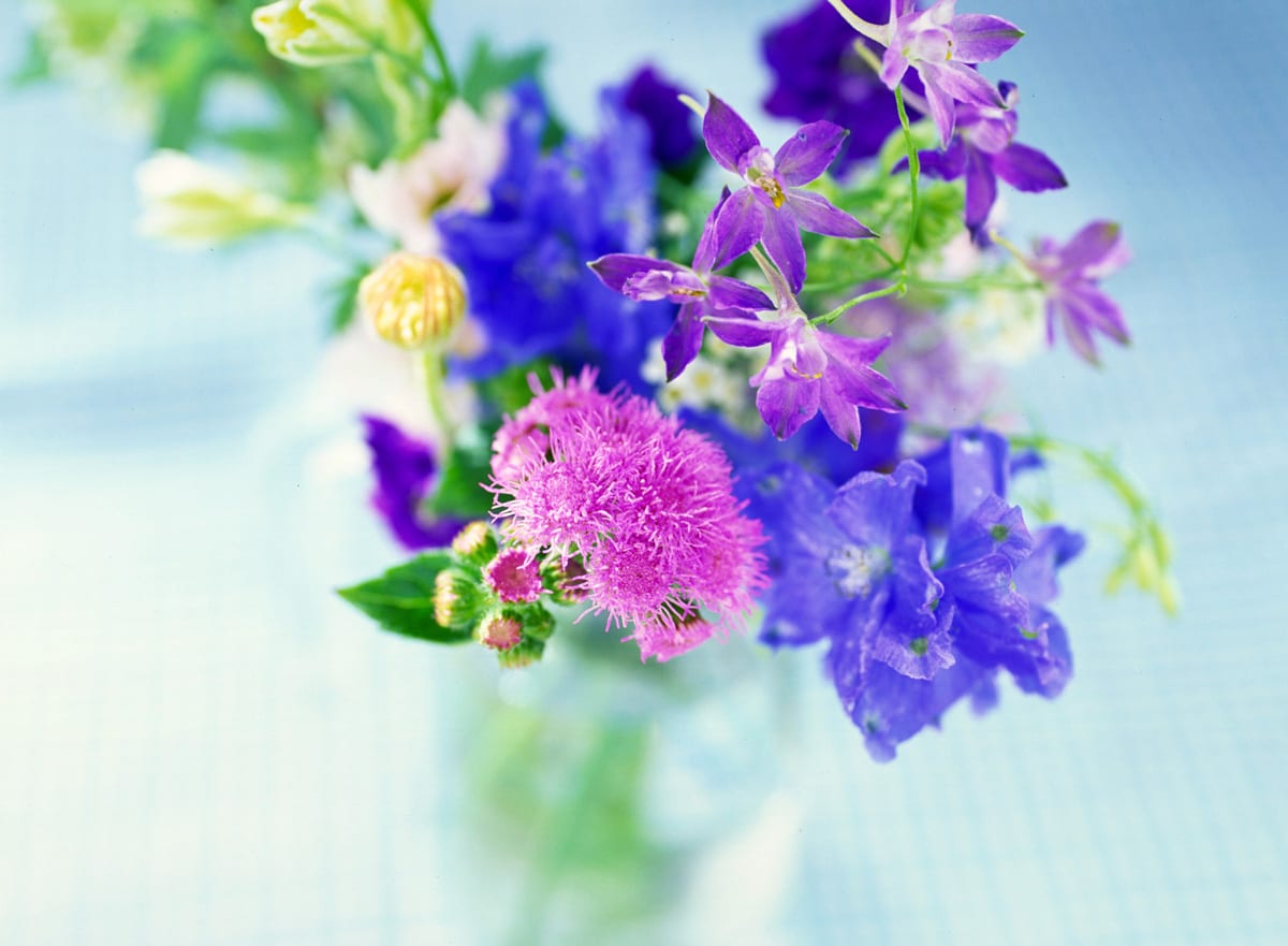 Why You Shouldn’t Order from 1800Flowers.com