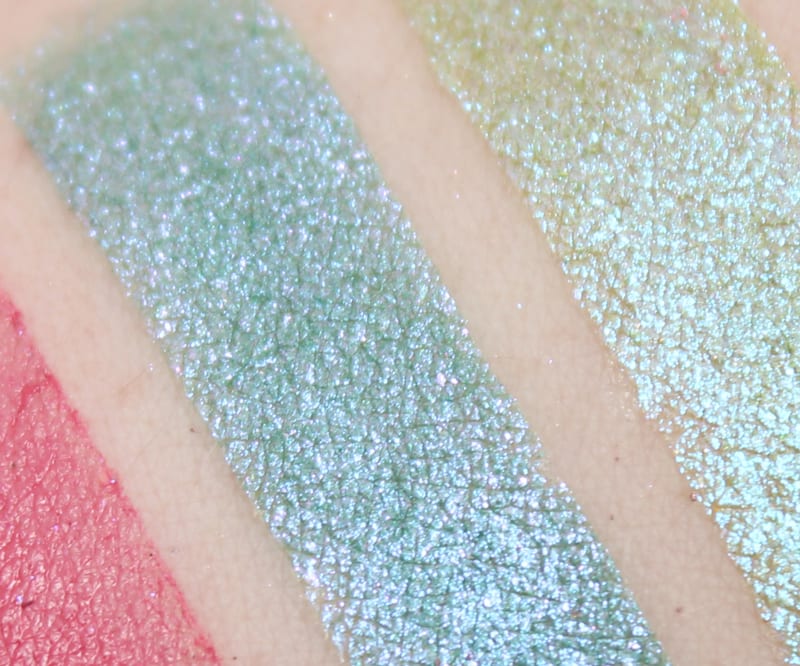 Aromaleigh Chlaenius swatch