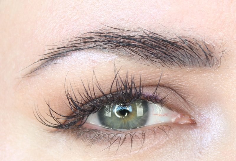 Urban Decay Tease, Walk of Shame and Desperation on the eyes