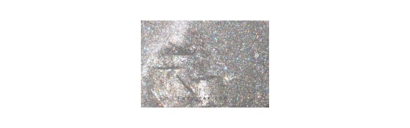 Fyrinnae Dinosaur Plushie