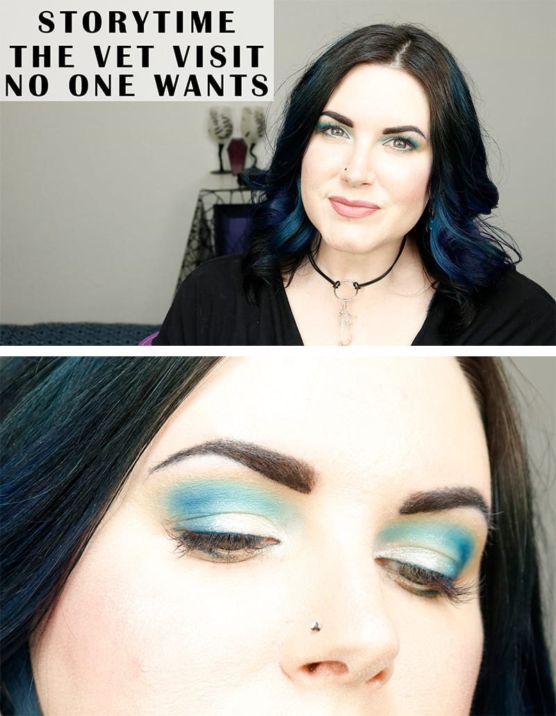 Storytime The Vet Visit No One Wants to Make