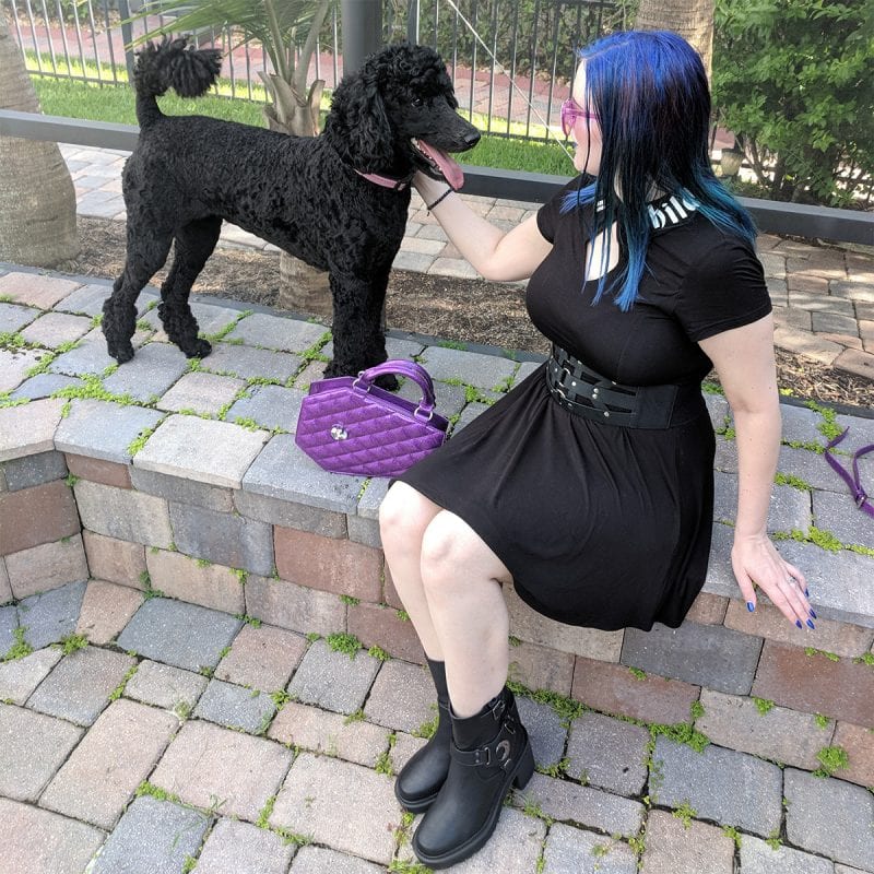 Killstar Lucine Skater Dress