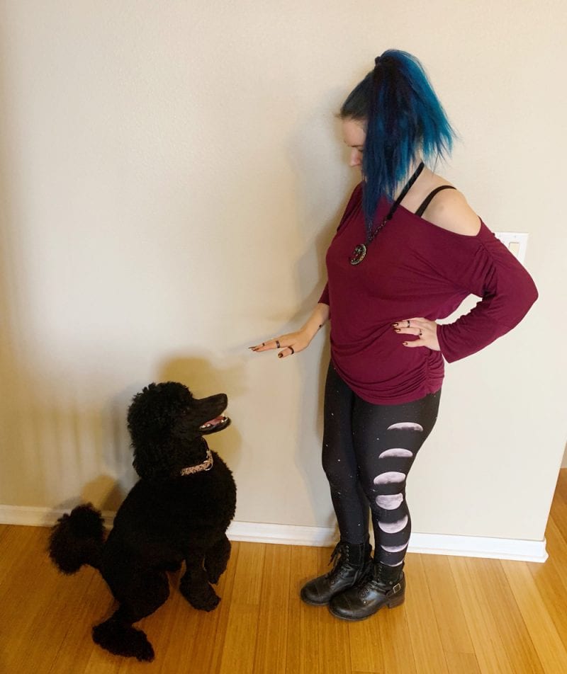 Rat Baby Phases of The Moon & Stars High Waist Leggings