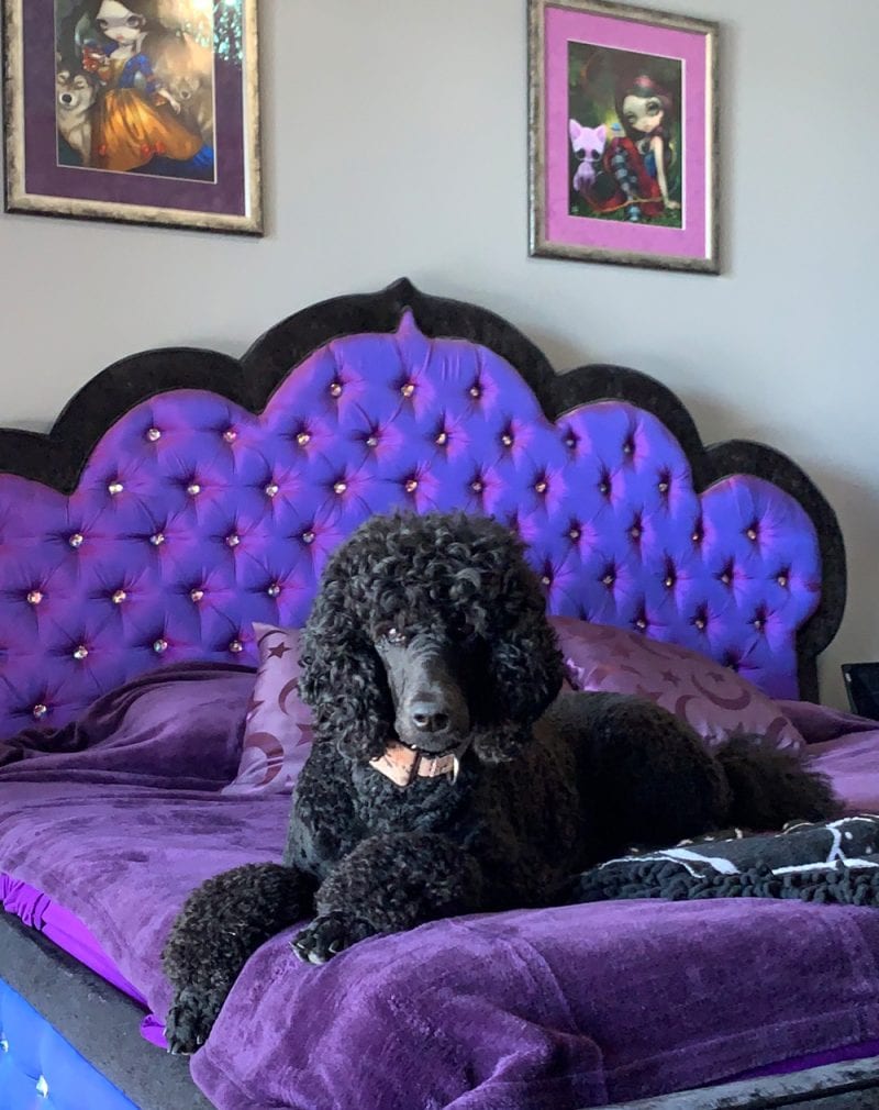 Modern Romantic Gothic Bedroom