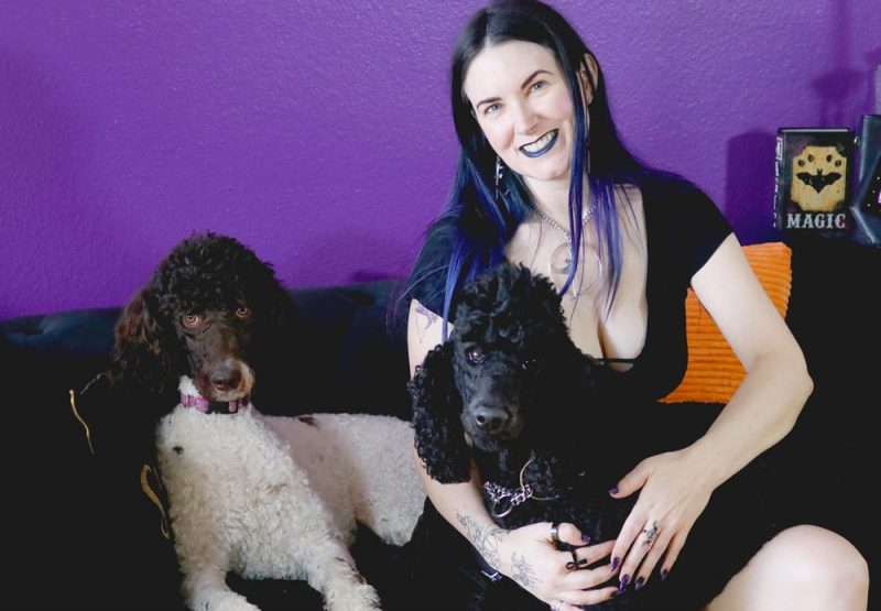 We Adopted a Standard Poodle!