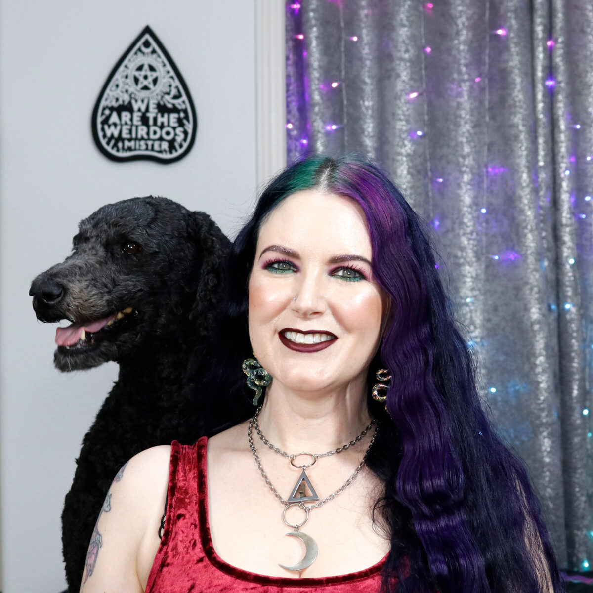 Nyx the black standard poodle is looking over Cordelia's shoulder