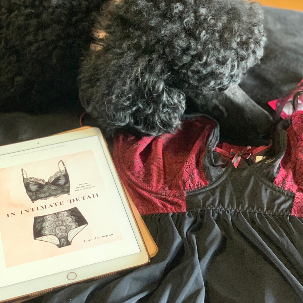 In Intimate Detail by Cora Harrington the Lingerie Addict