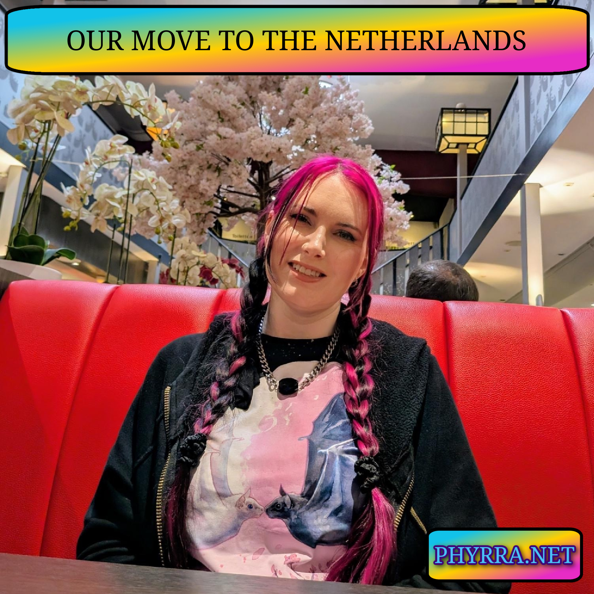 Where I’ve Been: Our Move to the Netherlands